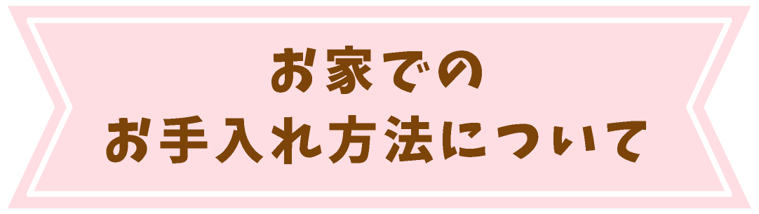 お家でのお手入れ方法について
